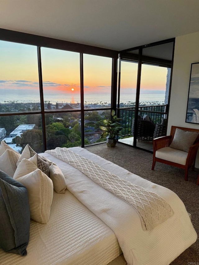 2500 Torrey Pines Rd Unit 1101, La Jolla, CA 92037 - bedroom with carpet, floor to ceiling windows, a water view, and access to exterior