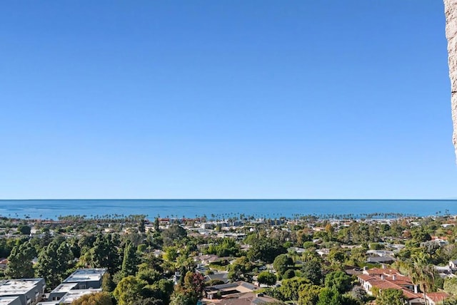 2500 Torrey Pines Rd Unit 1101, La Jolla, CA 92037 - bird's eye view of a large body of water