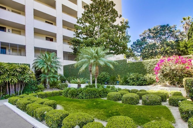 2500 Torrey Pines Rd Unit 1101, La Jolla, CA 92037 - view of yard