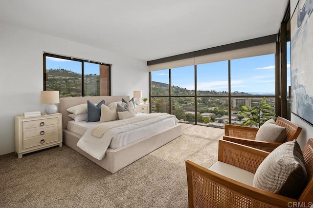 2500 Torrey Pines Rd Unit 1101, La Jolla, CA 92037 - bedroom featuring carpet flooring