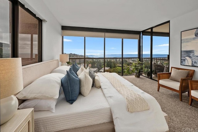 2500 Torrey Pines Rd Unit 1101, La Jolla, CA 92037 - bedroom with carpet floors and floor to ceiling windows