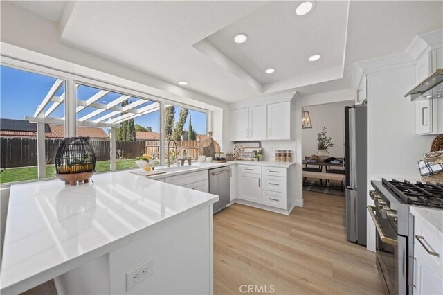 2143 Westminster Dr, Palmdale, CA 93550 - kitchen featuring stainless steel appliances, a raised ceiling, light wood-style flooring, white cabinets, and recessed lighting