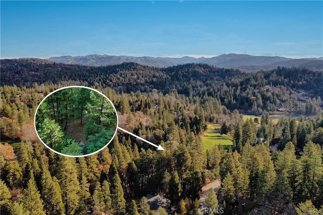 131 N Fairway Dr, Lake Arrowhead, CA 92352