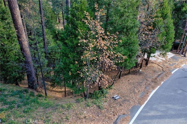 131 N Fairway Dr, Lake Arrowhead, CA 92352