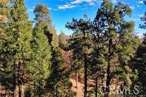 131 N Fairway Dr, Lake Arrowhead, CA 92352