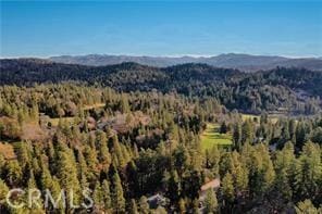 131 N Fairway Dr, Lake Arrowhead, CA 92352
