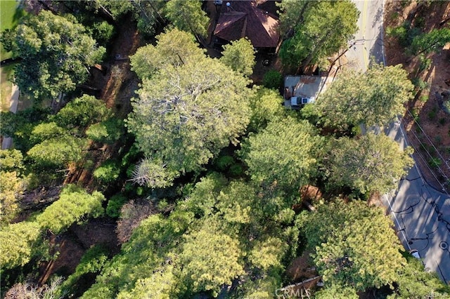 131 N Fairway Dr, Lake Arrowhead, CA 92352