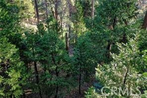 131 N Fairway Dr, Lake Arrowhead, CA 92352