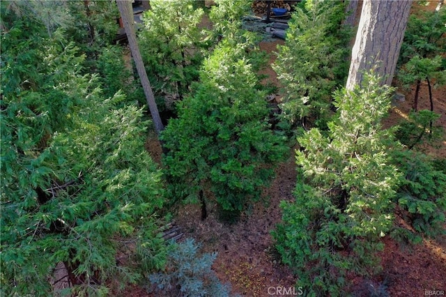 131 N Fairway Dr, Lake Arrowhead, CA 92352