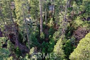 131 N Fairway Dr, Lake Arrowhead, CA 92352