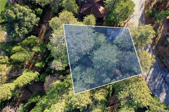 131 N Fairway Dr, Lake Arrowhead, CA 92352