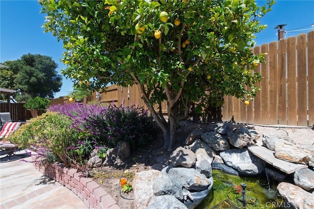 4368 Manchester Ct, Santa Maria, CA 93455 - view of yard with a small pond