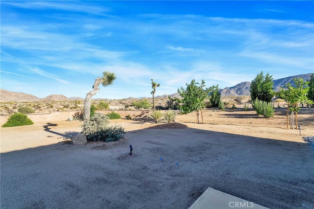 7765 Elwood St, Joshua Tree, CA 92252 - view of yard with a mountain view