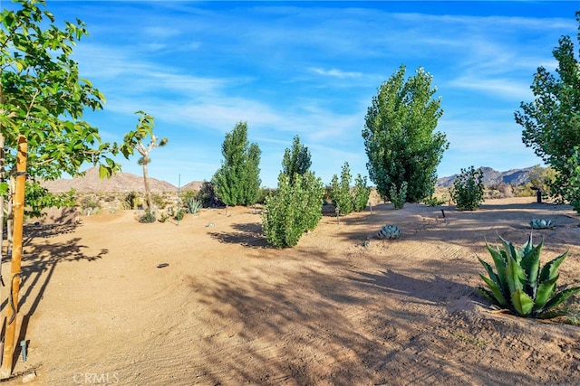 7765 Elwood St, Joshua Tree, CA 92252 - view of yard featuring a mountain view