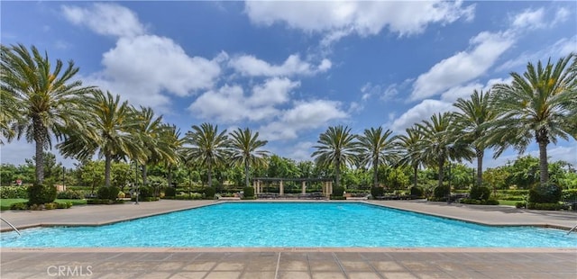 54 Sycamore Bnd, Irvine, CA 92620 - community pool with view of scattered trees and a patio