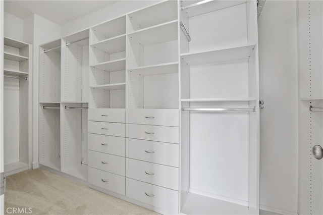 54 Sycamore Bnd, Irvine, CA 92620 - walk in closet featuring light carpet