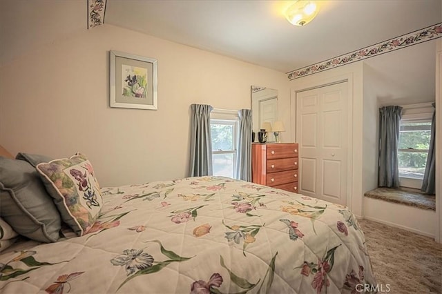 25837 Sunset Loop, Twin Peaks, CA 92391 - bedroom featuring multiple windows, a closet, and carpet