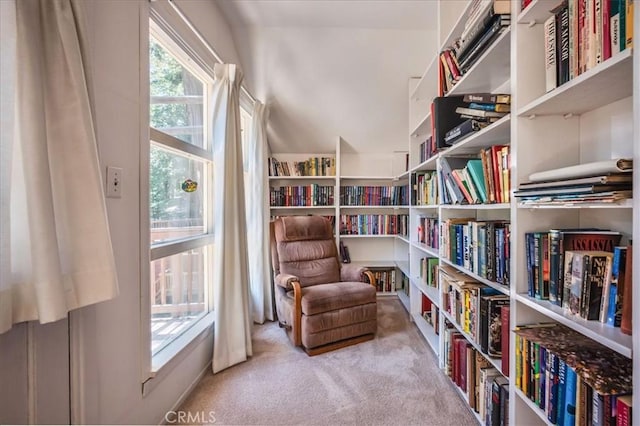 25837 Sunset Loop, Twin Peaks, CA 92391 - sitting room featuring carpet flooring and bookshelves