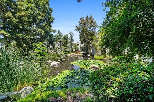 222 N Singingwood St Unit 9, Orange, CA 92869 - view of nature