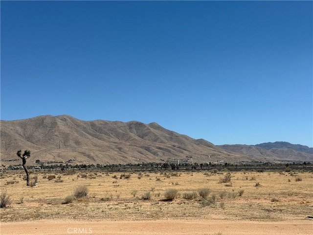21390 Tussing Ranch Rd, Apple Valley, CA 92308 - photo 59
