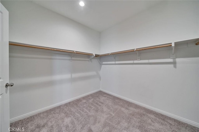 29601 Tulipwood St, Menifee, CA 92584 - walk in closet with carpet floors