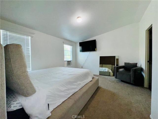 2851 S La Cadena Dr Unit 125, Colton, CA 92324 - carpeted bedroom with lofted ceiling and cooling unit