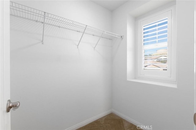 4062 Tamarind Rdg, Lake Elsinore, CA 92530 - walk in closet with dark colored carpet