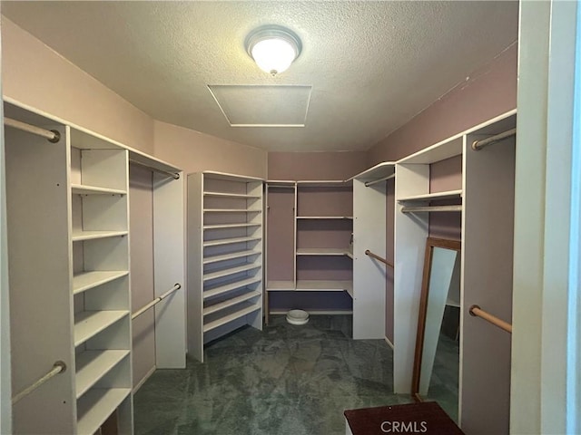12180 Westerly Trl, Moreno Valley, CA 92557 - spacious closet with dark colored carpet and attic access