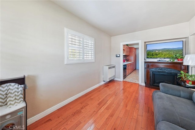 430 E 104th St, Los Angeles, CA 90003 - living room featuring plenty of natural light, light wood-style flooring, and a fireplace