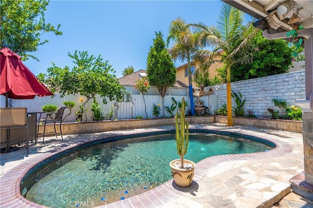 7549 Variel Ave, Canoga Park, CA 91303 - view of pool featuring a fenced backyard and a patio