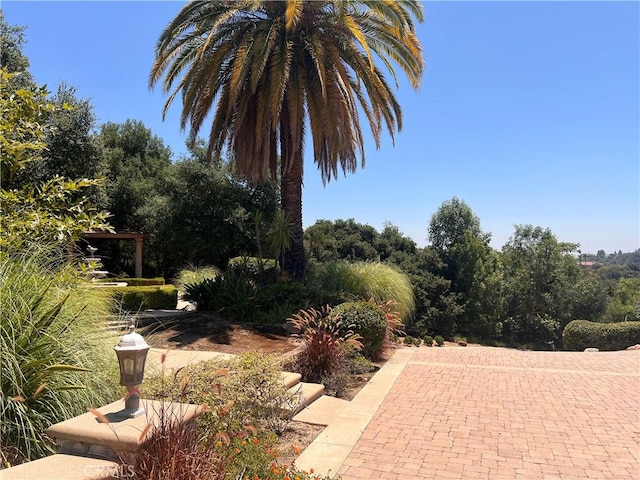 119 Furlong Ln, Bradbury, CA 91008 - view of patio