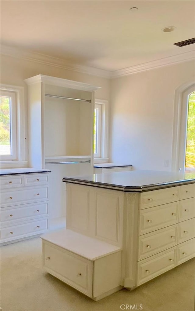 119 Furlong Ln, Bradbury, CA 91008 - walk in closet featuring light carpet