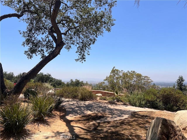 119 Furlong Ln, Bradbury, CA 91008 - view of yard