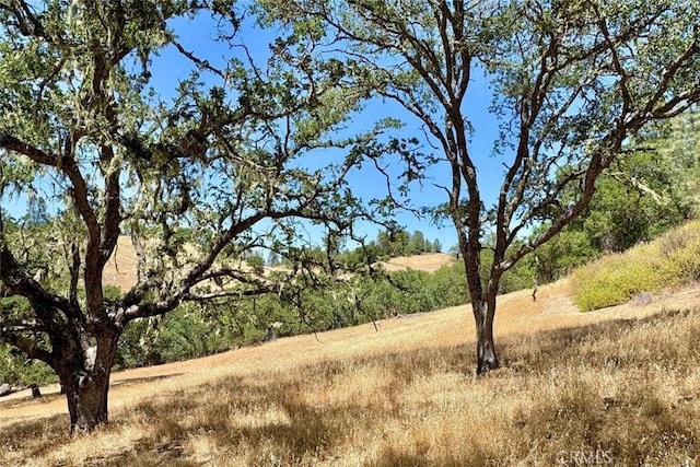 0 Bryson Hesperia Rd, Bradley, CA 93426 - photo 8