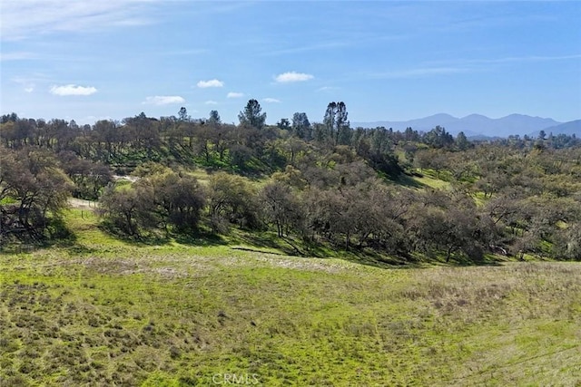 0 Bryson Hesperia Rd, Bradley, CA 93426 - photo 10