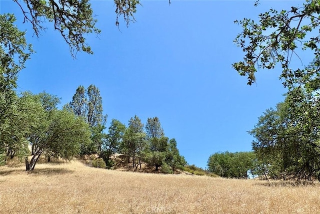 0 Bryson Hesperia Rd, Bradley, CA 93426 - photo 7