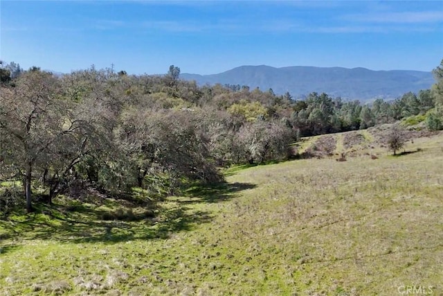 0 Bryson Hesperia Rd, Bradley, CA 93426 - photo 11