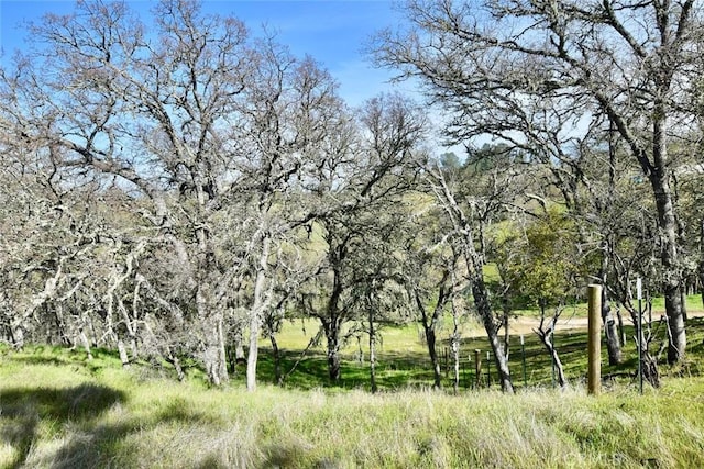 0 Bryson Hesperia Rd, Bradley, CA 93426 - photo 9