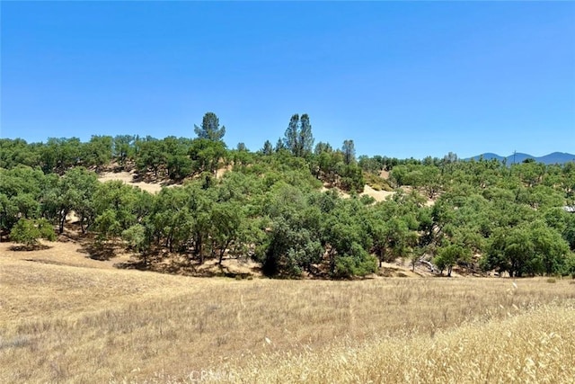 0 Bryson Hesperia Rd, Bradley, CA 93426 - photo 5