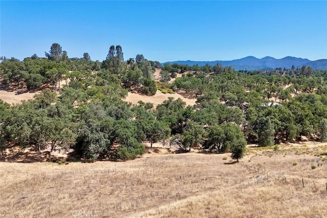 0 Bryson Hesperia Rd, Bradley, CA 93426 - photo 1