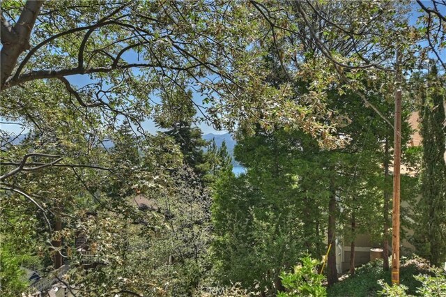 273 Shasta Dr, Lake Arrowhead, CA 92317 - photo 61
