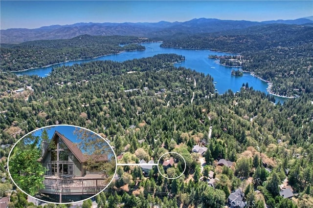 273 Shasta Dr, Lake Arrowhead, CA 92317 - photo 3