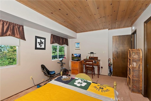 273 Shasta Dr, Lake Arrowhead, CA 92317 - photo 52