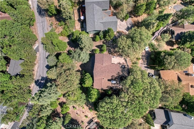 273 Shasta Dr, Lake Arrowhead, CA 92317 - photo 67