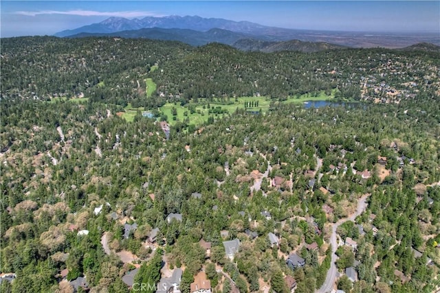 273 Shasta Dr, Lake Arrowhead, CA 92317 - photo 69