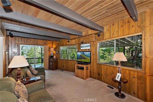 273 Shasta Dr, Lake Arrowhead, CA 92317 - photo 57