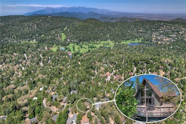 273 Shasta Dr, Lake Arrowhead, CA 92317 - photo 4