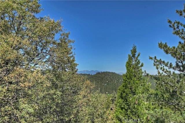 273 Shasta Dr, Lake Arrowhead, CA 92317 - photo 33