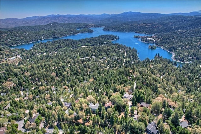 273 Shasta Dr, Lake Arrowhead, CA 92317 - photo 68