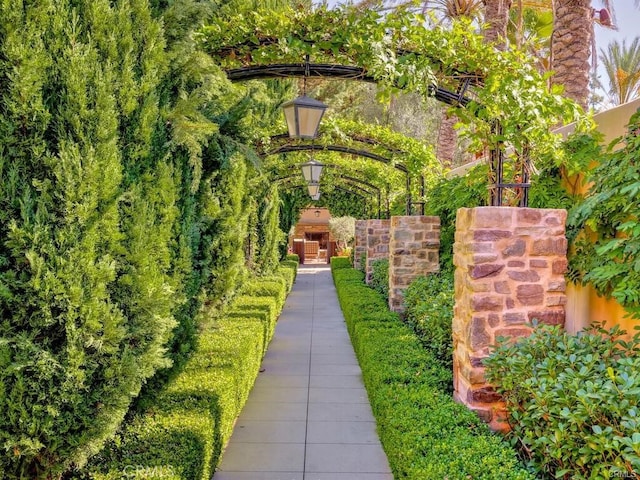 23 Bower Tree, Irvine, CA 92603 - view of yard